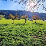 Wildschuetz By Interhome Appartement *